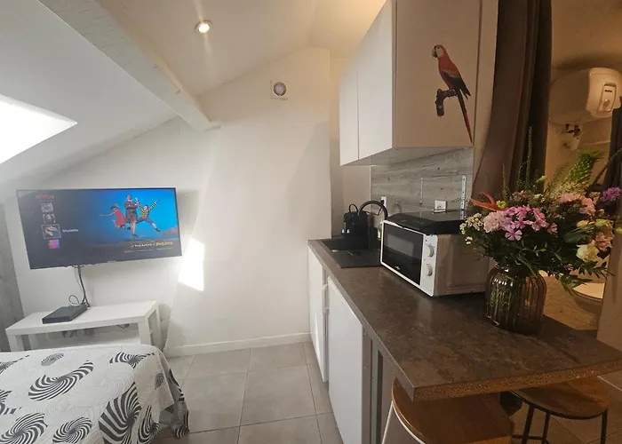 Studette Independante Gare Particulier Apartment *